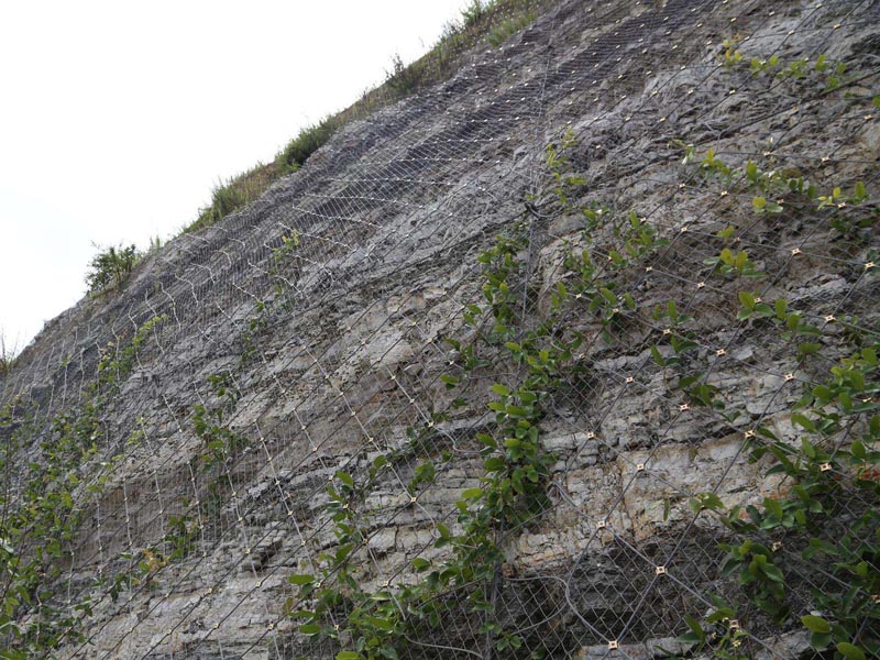 GAR2������(d��ng)���o(h��)�W(w��ng)