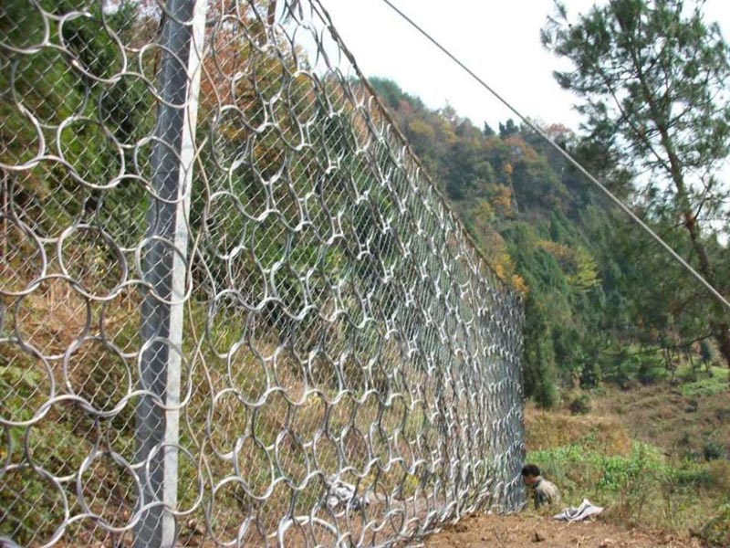 RXI-100�ͱ���(d��ng)���o(h��)�W(w��ng) (3).jpg