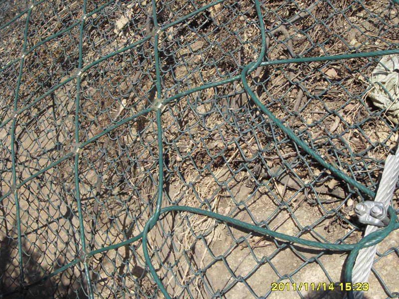 GAR1�����ӷ��o�W (6).jpg