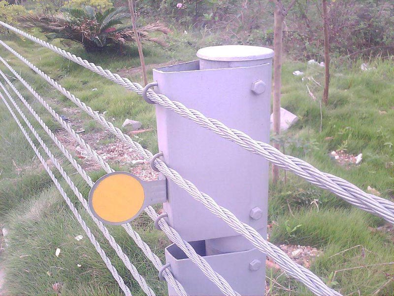 ���^�|���o�ڏS��