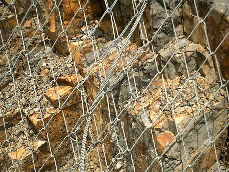 TECCO䓽z���x��