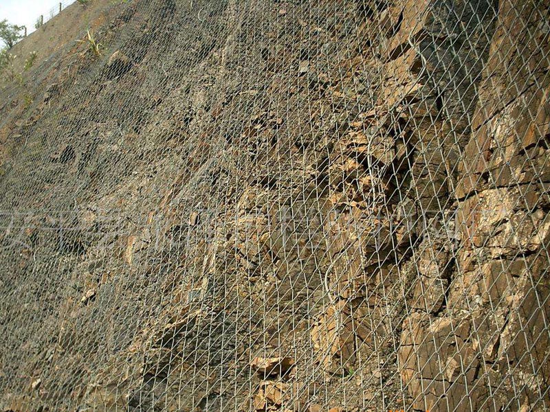 ⁿ˾W���a�S��