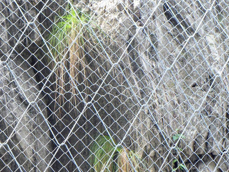 SPIDER䓽z���x��